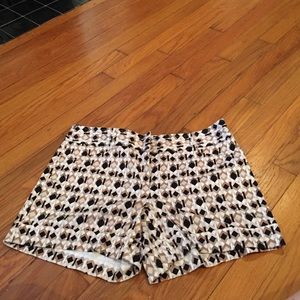 White House Black Market Patterned Shorts Size 8