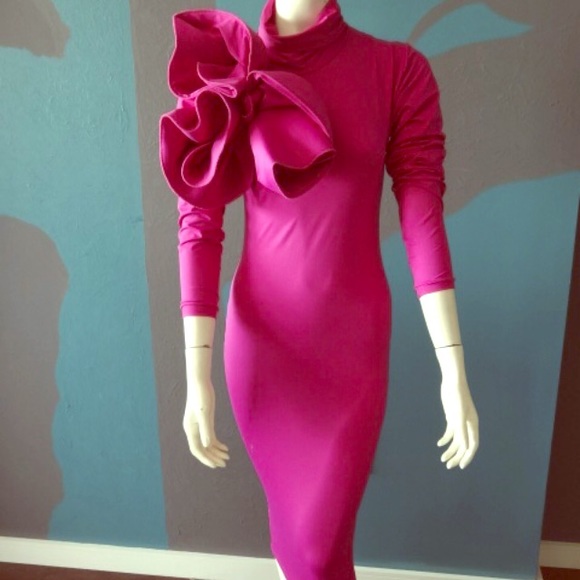 Beautiful Fuschia Fitted Dress