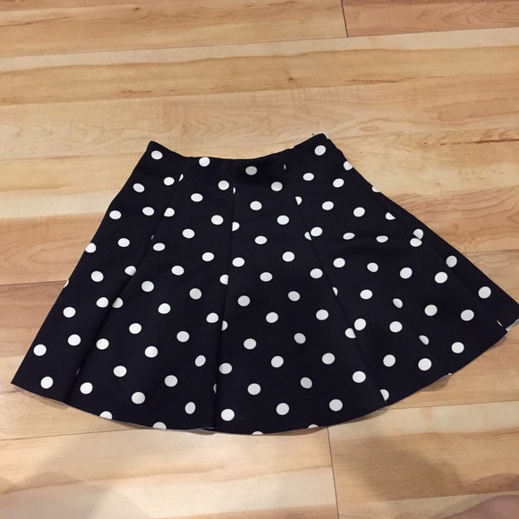 ZARA Polka Dot Skirt