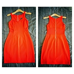 Express red Bodycon dress
