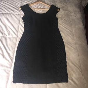 Zara form fitting dress