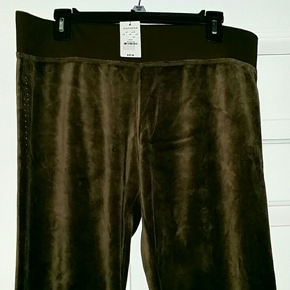 Express Brown Velour Track Pant