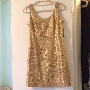 Lilly Pulitzer Drippy Paisley Lace Dress