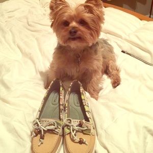 Sperry Top-sider loafers-NEW