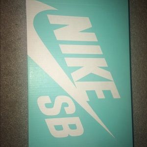 Gray Nike sb's