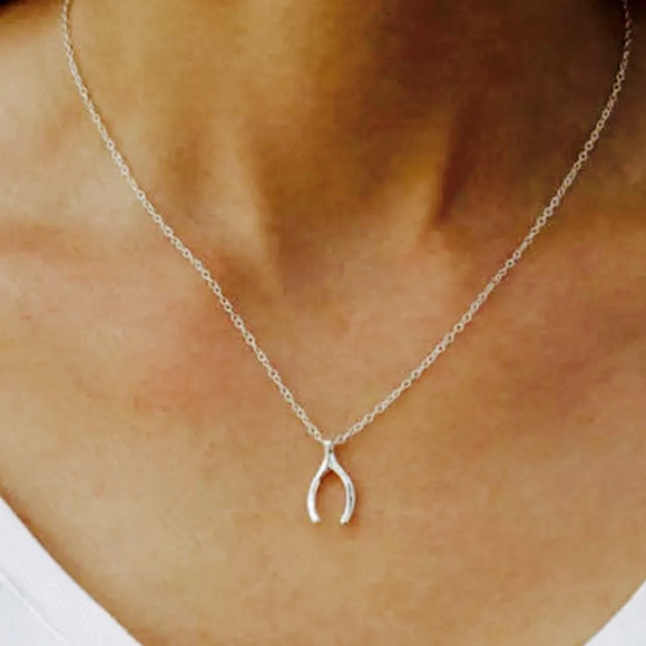 Wishbone💎Necklace