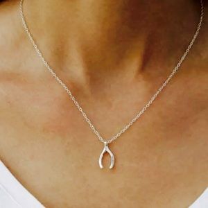 Wishbone💎Necklace