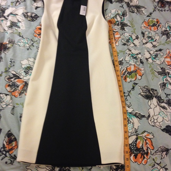 Nicholas Ponti high neck dress.