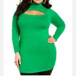 Kelly Green Sexy Turtle neck