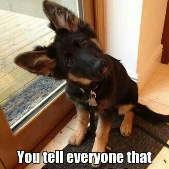 😧😧NO Lowballs & $10 or less final/unless bundled - Picture 2 of 2