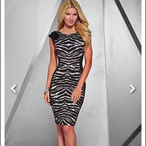 Venus Zebra print midi dress