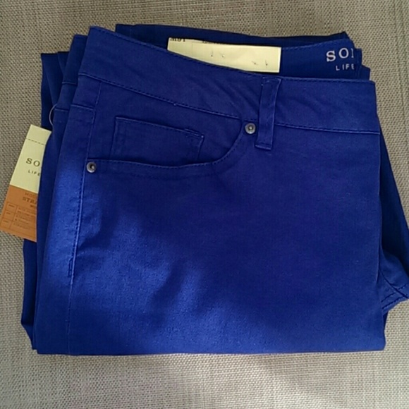 Sonoma Pants - Modern PURPLE/blue Pants