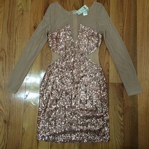Small sequin dress rose gold