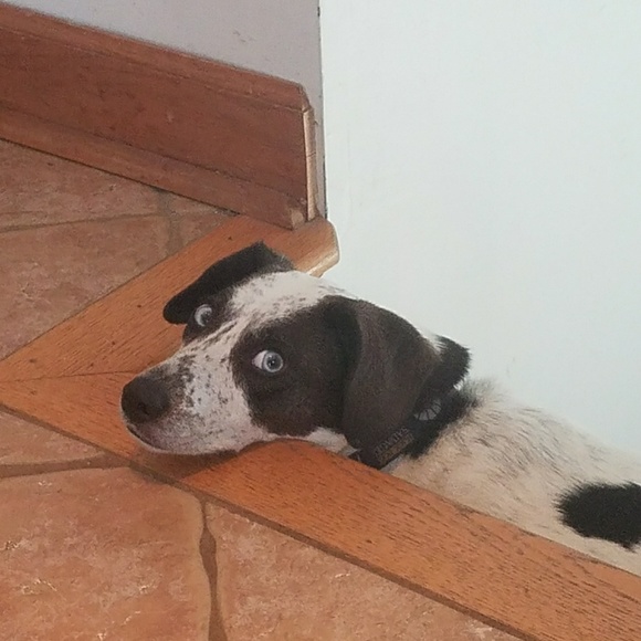 Meet your seller - Picture 6 of 12