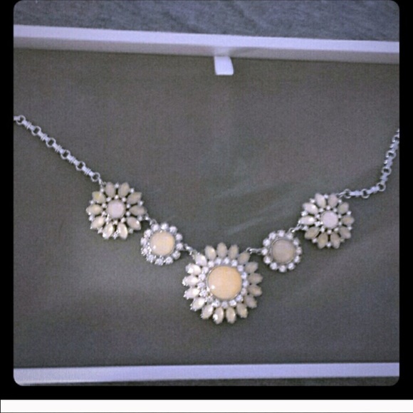 Lia Sophia bundle