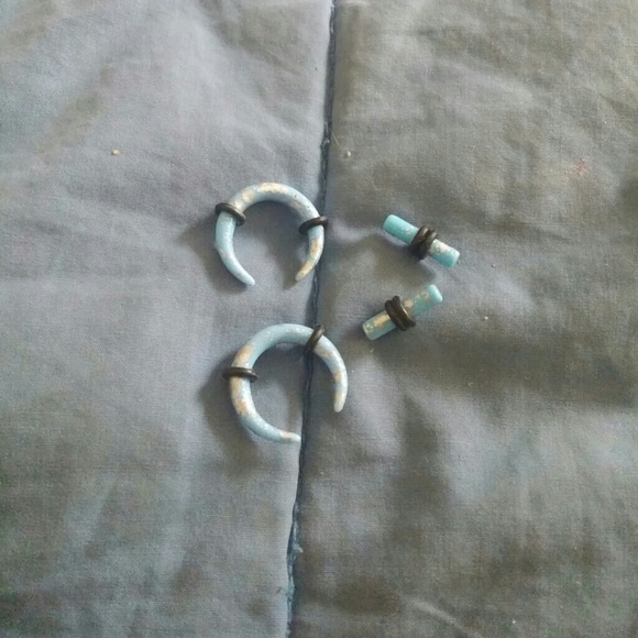 Light blue and silver flecked plugs and stretchers
