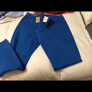 Jcrew ankle toothpick jean (with tags)size 29