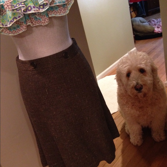Wool Ann Taylor Petites Skirt