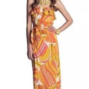 Trina Turk for Banana Republic Maxi Dress sz 0