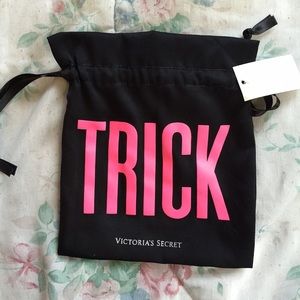 Victoria secret panty bag