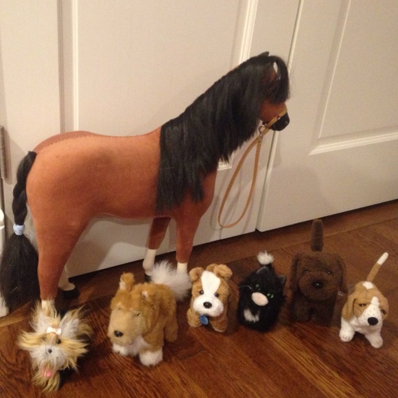 Animals& clothes& shoes