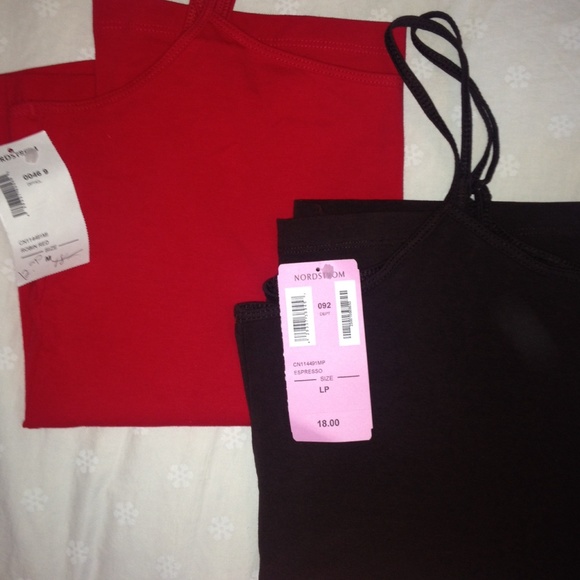 Two Nordstrom thin strapped tank tops