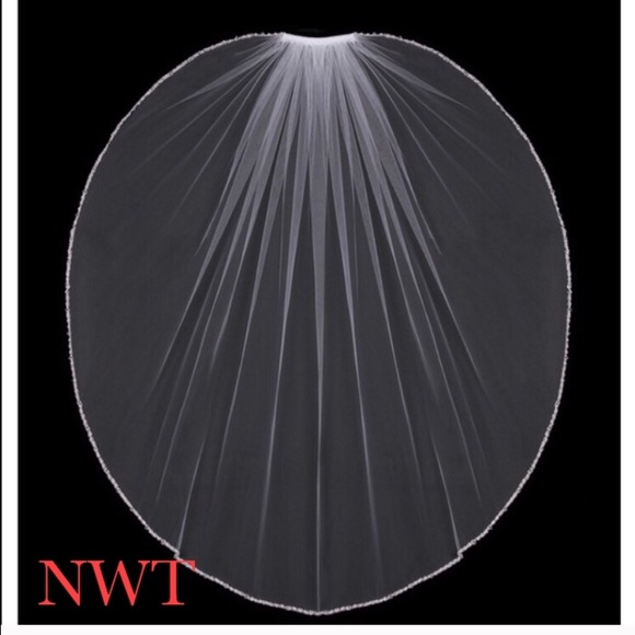 Stunning Bridal Veil 👰