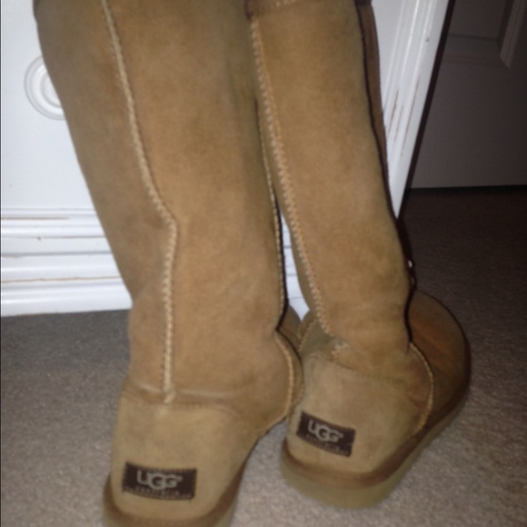 Long chestnut uggs