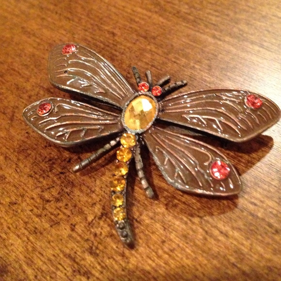 Dragonfly brooch
