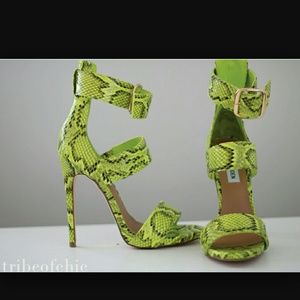 Steve Madden mysterii green snake heel