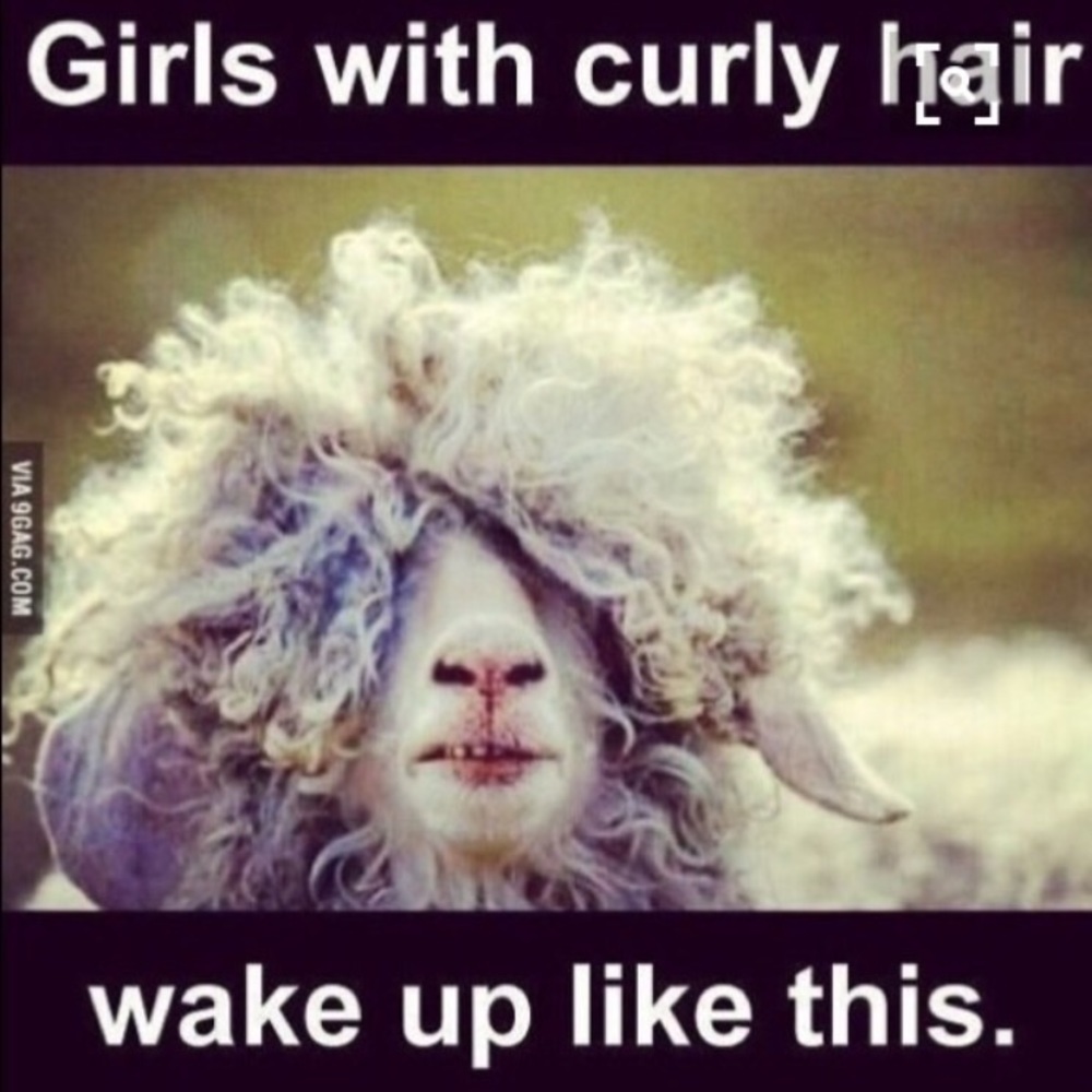 "Correct Gently" - the seller/buyer… - Picture 11 of 16