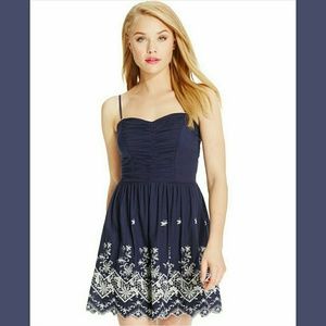 Embroidered Sweetheart Dress