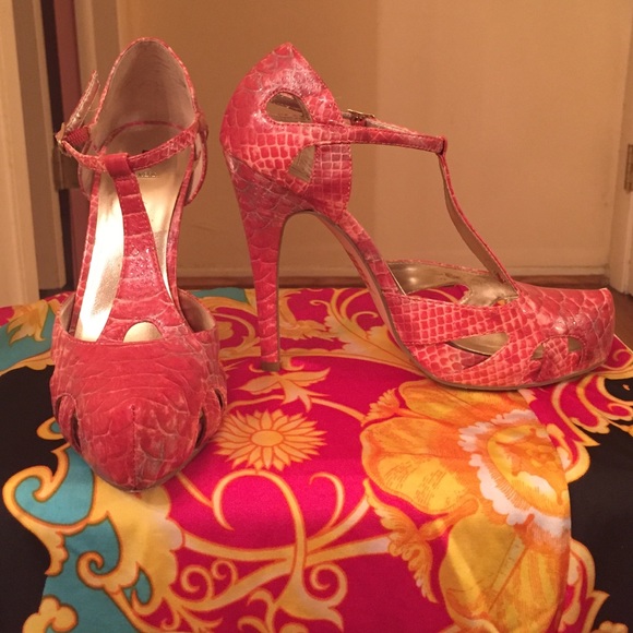 Bakers Coral pump with matching clutch