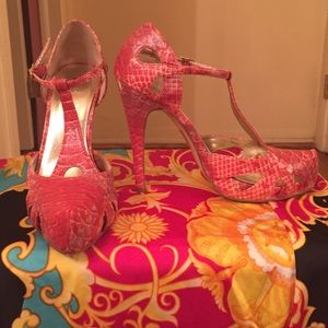 Bakers Coral pump with matching clutch