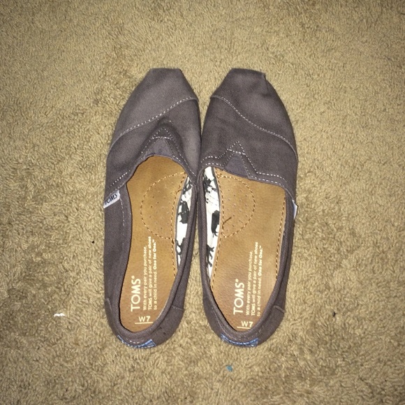 grey toms