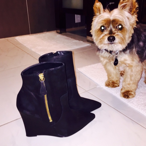 Steve Madden Boots - Steve Madden black booties
