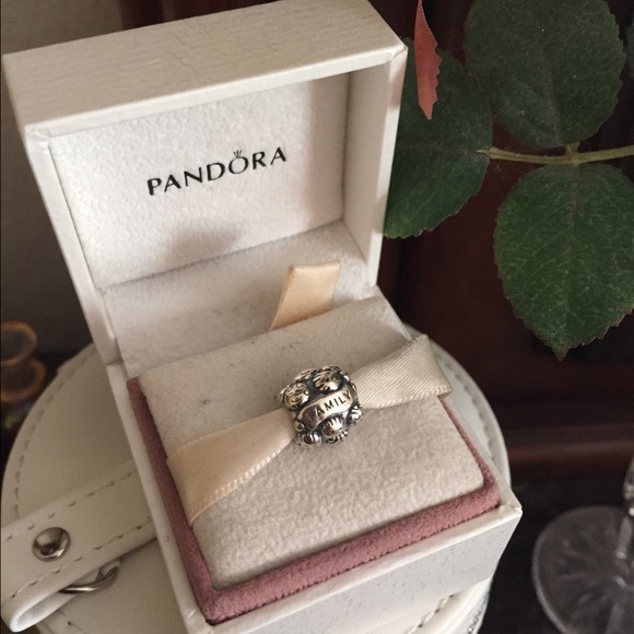 pandora charm love and family pandora charm love and family