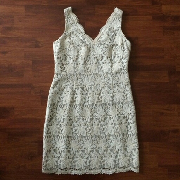 Ivory Ann Taylor Vintage Lace