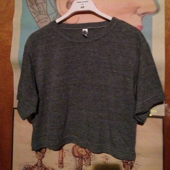 American Apparel heathered grey crop top tee