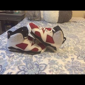 Jordan Carmine 6's