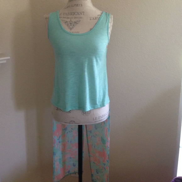 NWOT "Mint Julep" top with chiffon wings - Picture 2 of 4