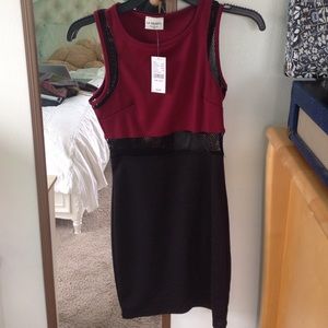 pacsun bodycon dress