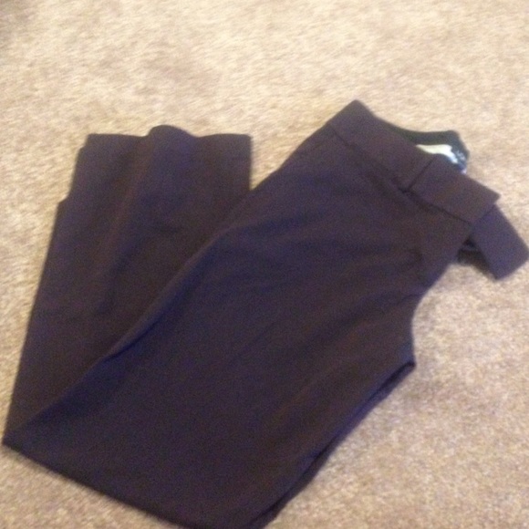 Deep Purple Loft Dress Pants