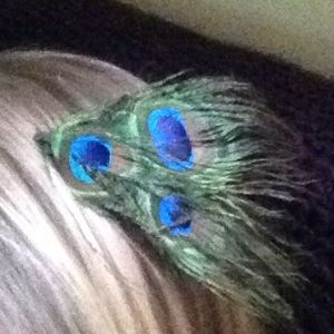 Awesome feathered sir clip