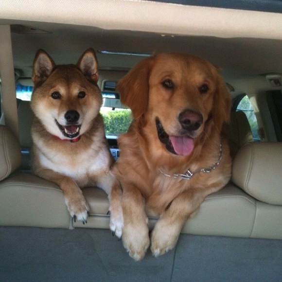 Meet your seller😊🌻🌸🌾💕 - Picture 5 of 5