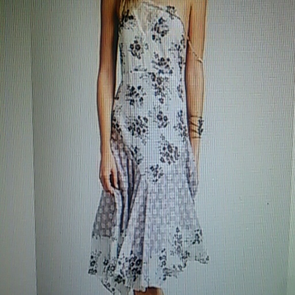 Free People Meadow Slip Dress (semi-sheer)