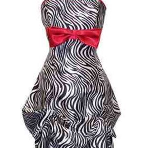 Strapless Zebra Dress