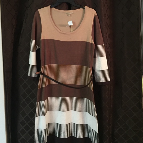 NWT Brown and White Striped Dress