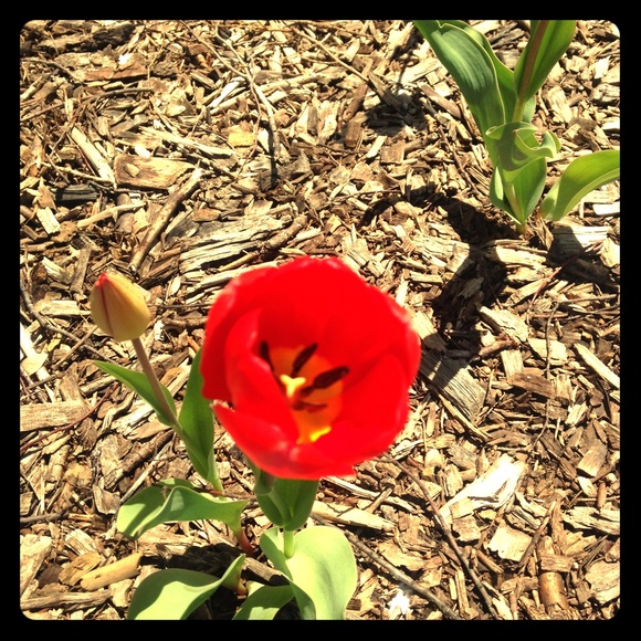 Nothing! I can only comment on her posh blocked ME