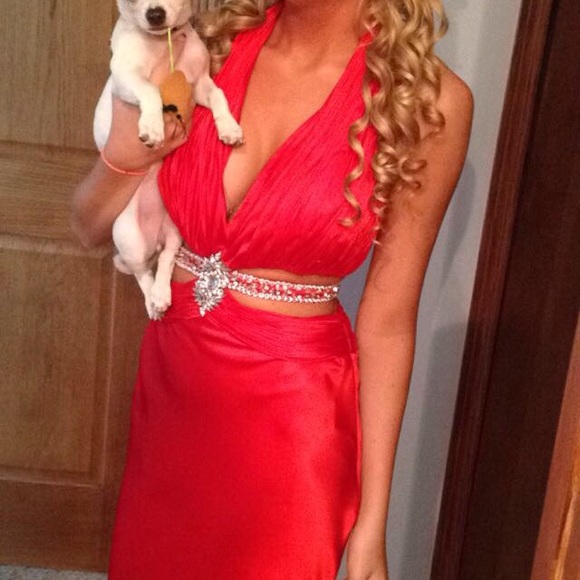 Prom Dress - Picture 3 of 3